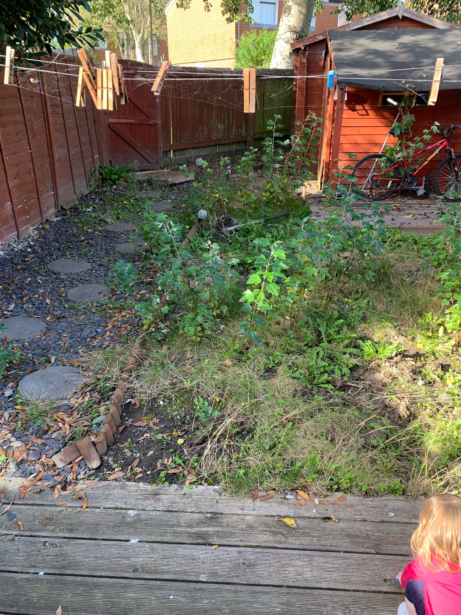 Turfing & Artificial Grass 25