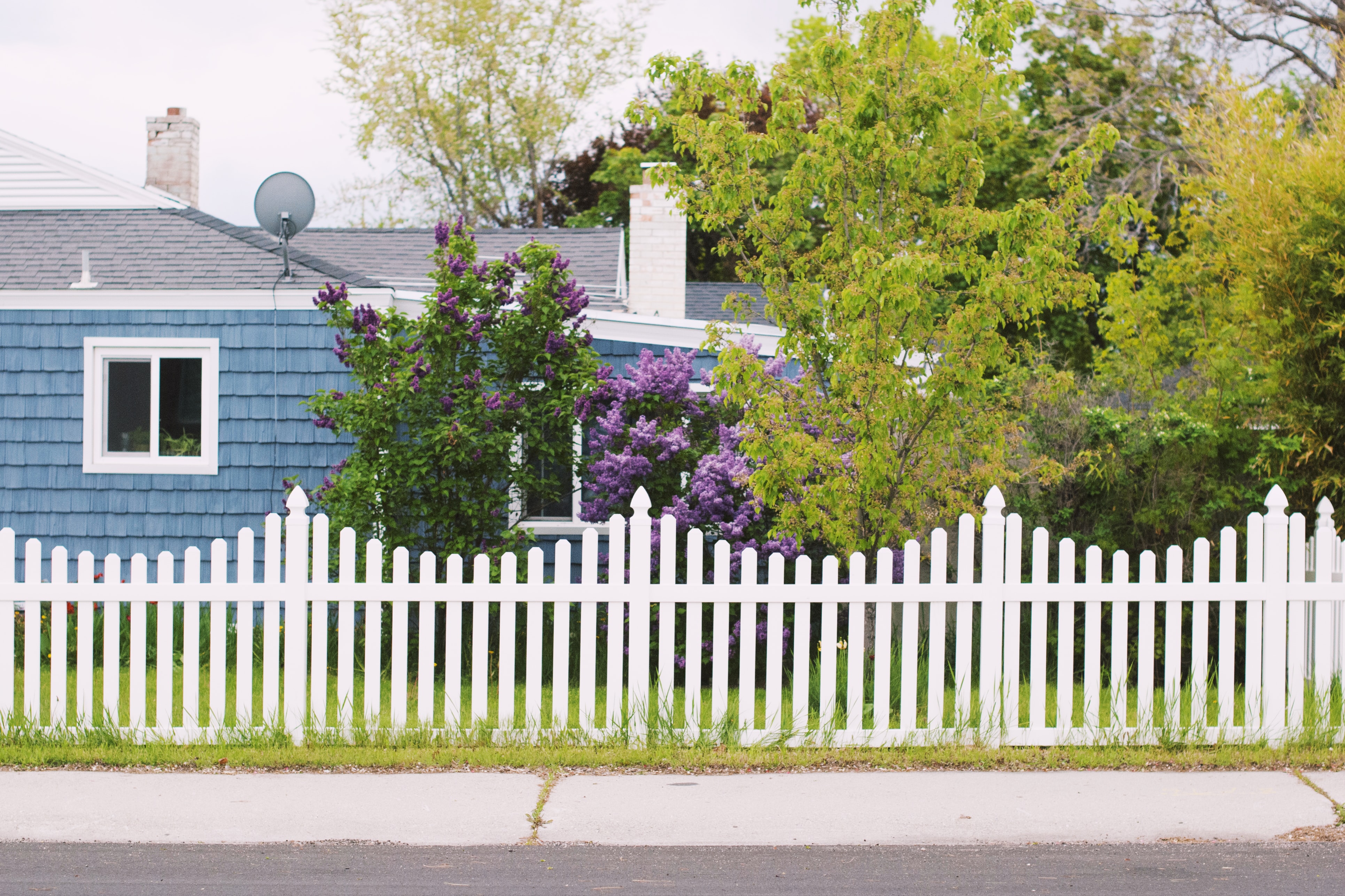 Fencing & Gates