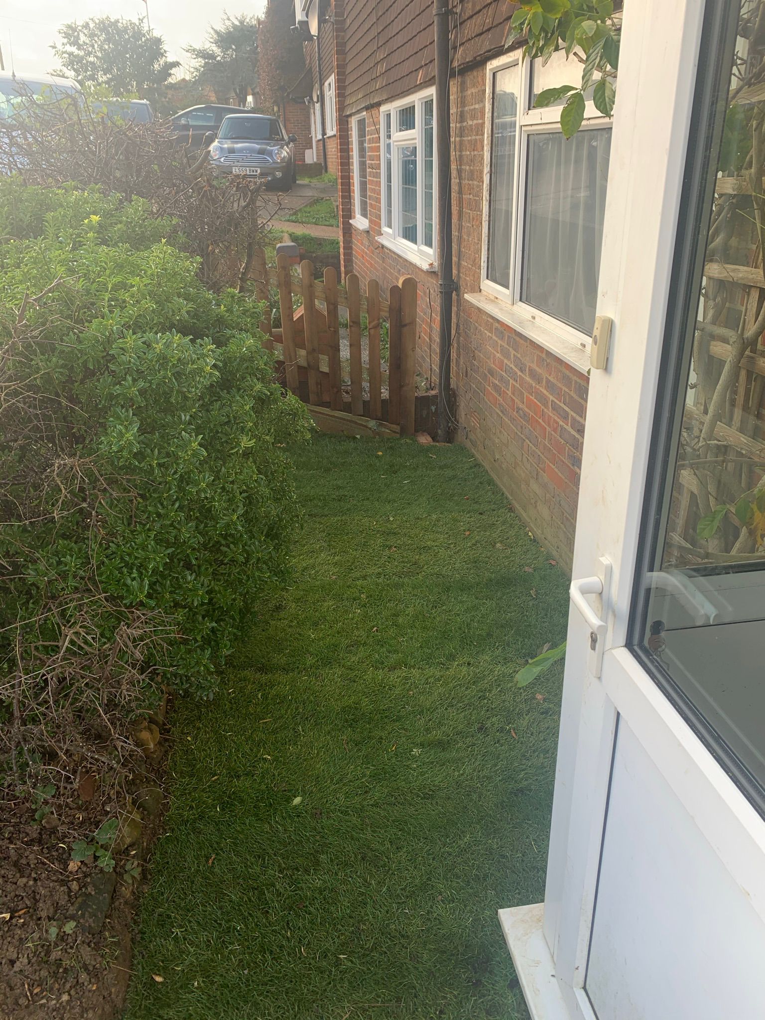 Turfing & Artificial Grass 1