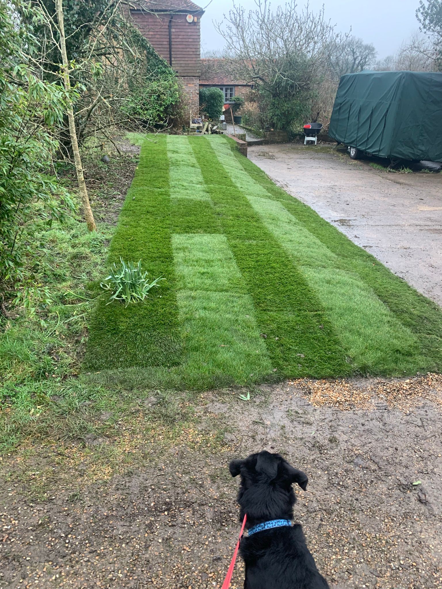 Turfing & Artificial Grass 3