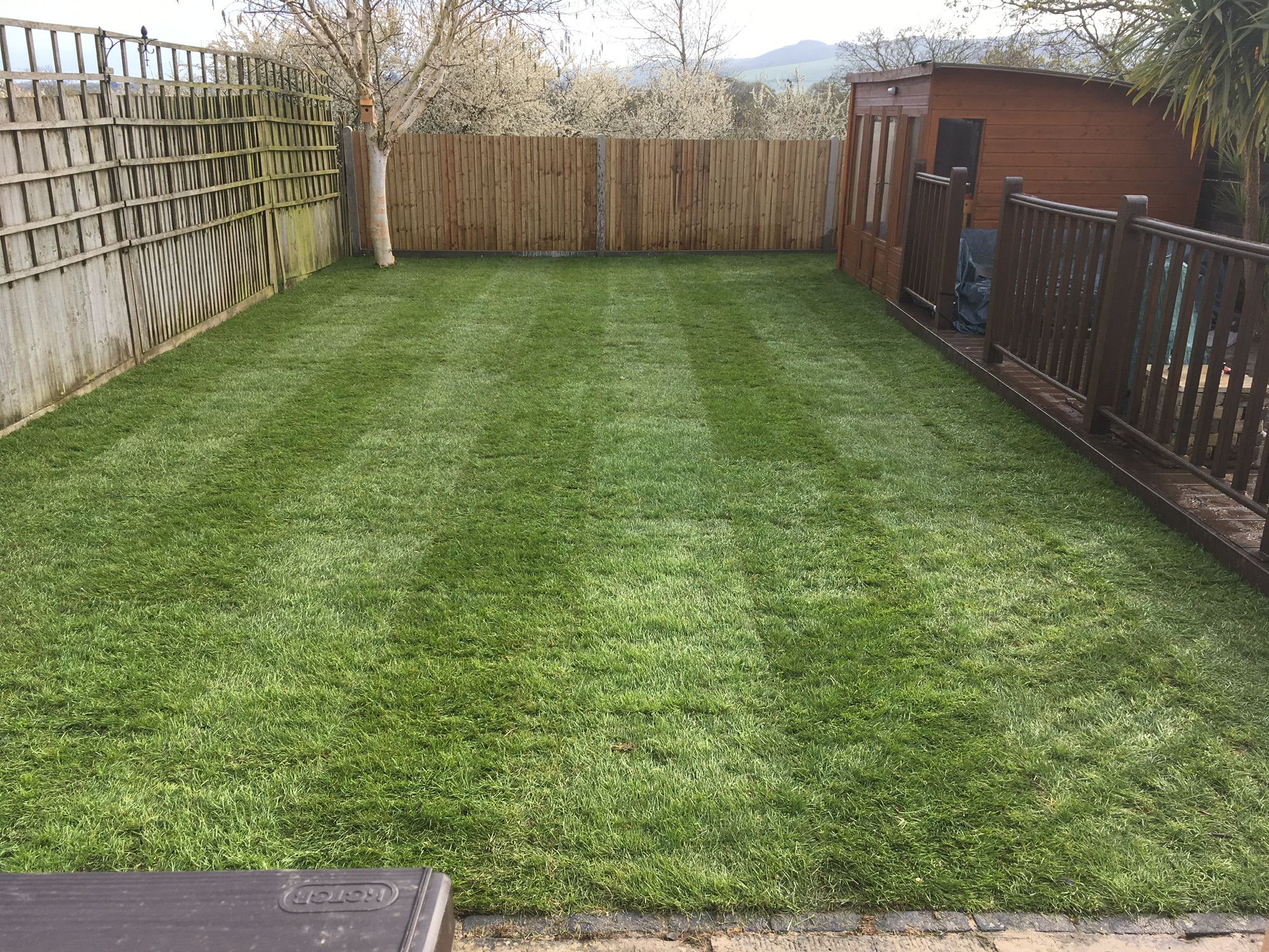 Turfing & Artificial Grass 13